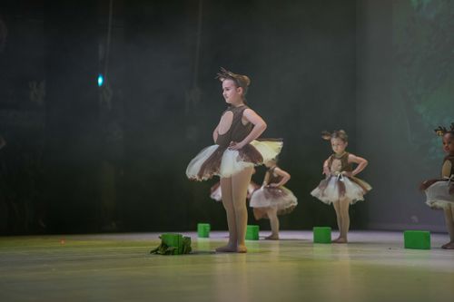 NTA Dance School - Scuola di Danza - Trento