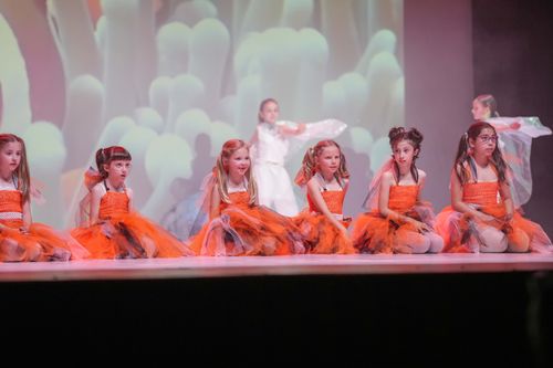 NTA Dance School - Scuola di Danza - Trento