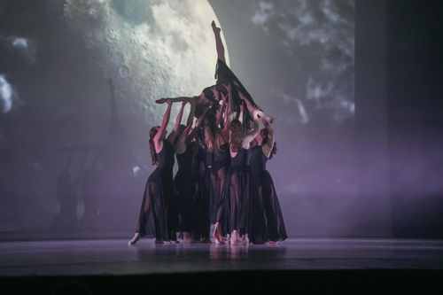 NTA Dance School - Scuola di Danza - Trento